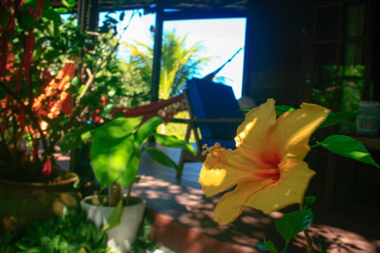 Villa Maree Praia de Pipa Ngoại thất bức ảnh